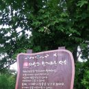 유인숙농장 이미지