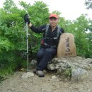 용산초등학교 이미지