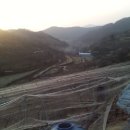 화양농장 이미지