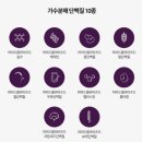 마지 이미지