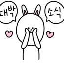 아카데미국가대표태권도장 이미지