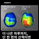 더 나은 하루까지, 단 한 번의 산책이면 충분 이미지