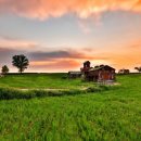 주경목장 이미지