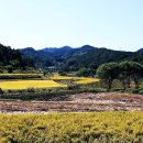 찬샘 이미지