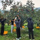 경일고등학교 이미지