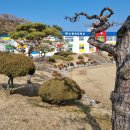 소원초등학교 이미지