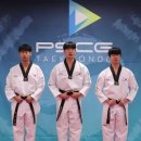 [16 29] PSCG 태권도 강좌 ㅡ 찌르기 (TAEKWONDO Tutorial Thrusting) 이미지