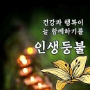 봄날같은하루 이미지