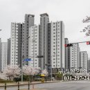 와이시티(아) 이미지