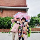 나무향기태권도장 | 등촌3동 어린이집 추천좀 해주세요~ &lt; 은초록어린이집 5년 보낸 솔직 후기&gt;