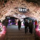 광명사회체육센터 이미지