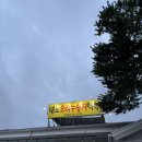 꼬맹이네 반려견 미용실 네이버블로그