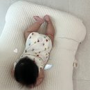 그래그래피자떡볶이 - 춘천시 효평길 44 | 46개월 오빠와 2개월 동생 일상 모아모아