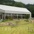 [함안] 경남 함안 신상카페 숲필 아기랑 방문한 대형카페