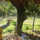 수곡농원 이미지