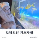 (주)신세계레코드코너 | [대구 신세계 아쿠아리움] 대구 실내 나들이 추천! 백일 아기와 함께한 대구 아쿠아리움 후기