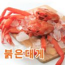 해정상회 이미지
