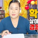 확실하게 살아남을 수 있는 경제 국운 풀이 - 대전 용한 무당 점집 추천 후기 홍두깨 이시안