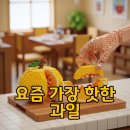 햇님농장 | 입짧은 햇님 망고참외, 냉부해 방송 후 파는곳 꿀팁