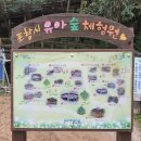 도음산 유아숲체험원 이미지