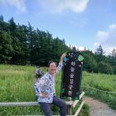 마음가니 몸이 화답하는 숲속 놀이 이미지