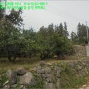 하원동-1 이미지