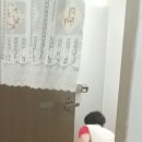 바오로아람터 이미지