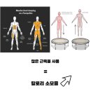 트리플점핑 | 체지방만 녹이고 근육은 채웠다! 근육양 +3KG 올린 점핑운동 고객후기