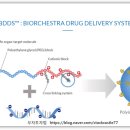 다형바이오 이미지