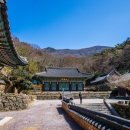 증심사 - 1407 | 증심사