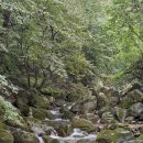 정보없음 이미지