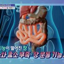 약이 되는 클래스 - 당신이 살 찌는 이유, 소화(消化)에 있다! 이미지