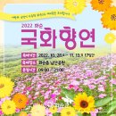 화순중앙로 이미지