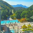 하일사우나 | 충청도 갈만한곳 레스트리 리솜 포레스트리솜 호텔 숙소 재방문 후기