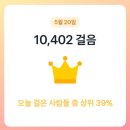 수다쟁이 헤어