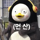 [순천] 셀프애견미용 하다가 학원까지 등록하게 된 후기