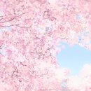 오름 필라테스 이미지