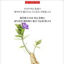 내촌리 이미지