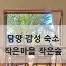 작은숲 | 담양 가을 커플 여행 l 담양 감성 숙소 추천, 작은마을 작은숲 후기