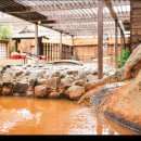 사슴1단지경로당 | 일본 나라 고베 여행 버스투어 사슴공원 동대사 아리마온천 당일치기