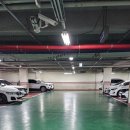 정화Care | [뷰티] 두피클리닉 친절한 채아 디자이너님 허쉬컷 솔직후기 라온스헤어 용인 수지 상현점 주차정보