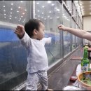 도심속바닷가식당
