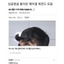 갤러리헤어 이미지