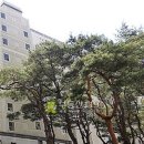 사임당로17길 80 (1) 이미지