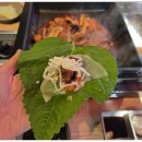 본죽&비빔밥 인천동암역점 | 동암역맛집 강금옥쭈꾸미 동암역점 불향 가득한 대창쭈꾸미&amp;숯불쭈꾸미 추천
