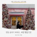 카페 압구정에서 | 서울 크리스마스 트리 카페｜압구정에서 만난 연말 포토존, 부케드뺑 후기
