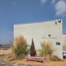 하이, 멍 | 부산 애견카페 하이멍 후기, 강아지 천국 같은 운동장 🐶