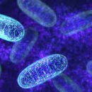 고트복싱(G.O.A.T Boxing) 이미지