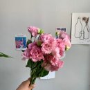 땐 떨어졌다가 독학해서 붙은 후기 (3) / 3회차 합격 ( 시험 후기 , 시험장 꿀팁 ) 과제로 어떤 화형이...