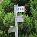 광치마을 이미지